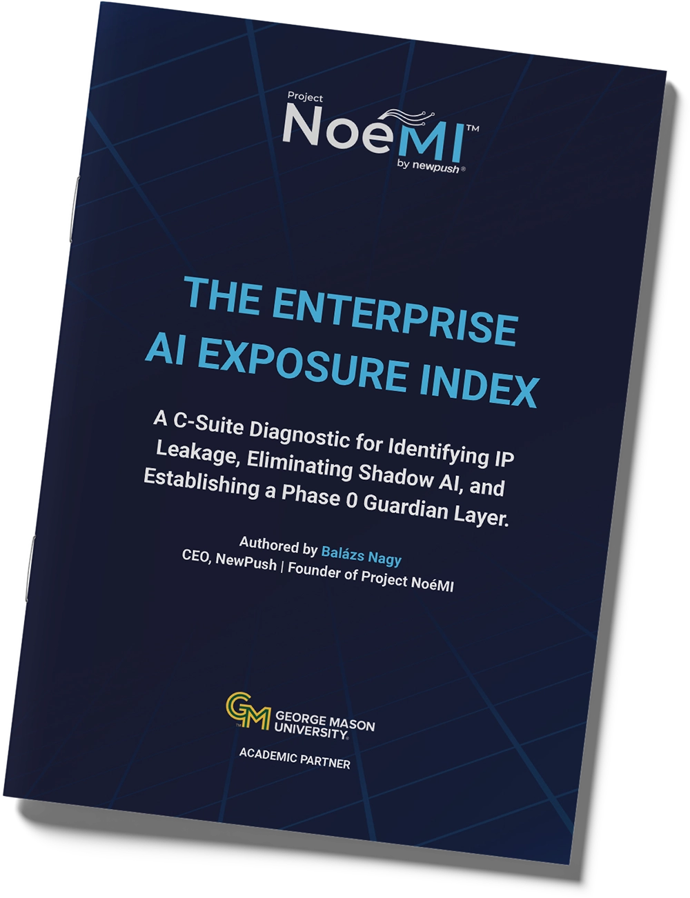 AI Exposure Index Diagnostic
